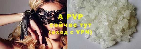 mdpv Каменка
